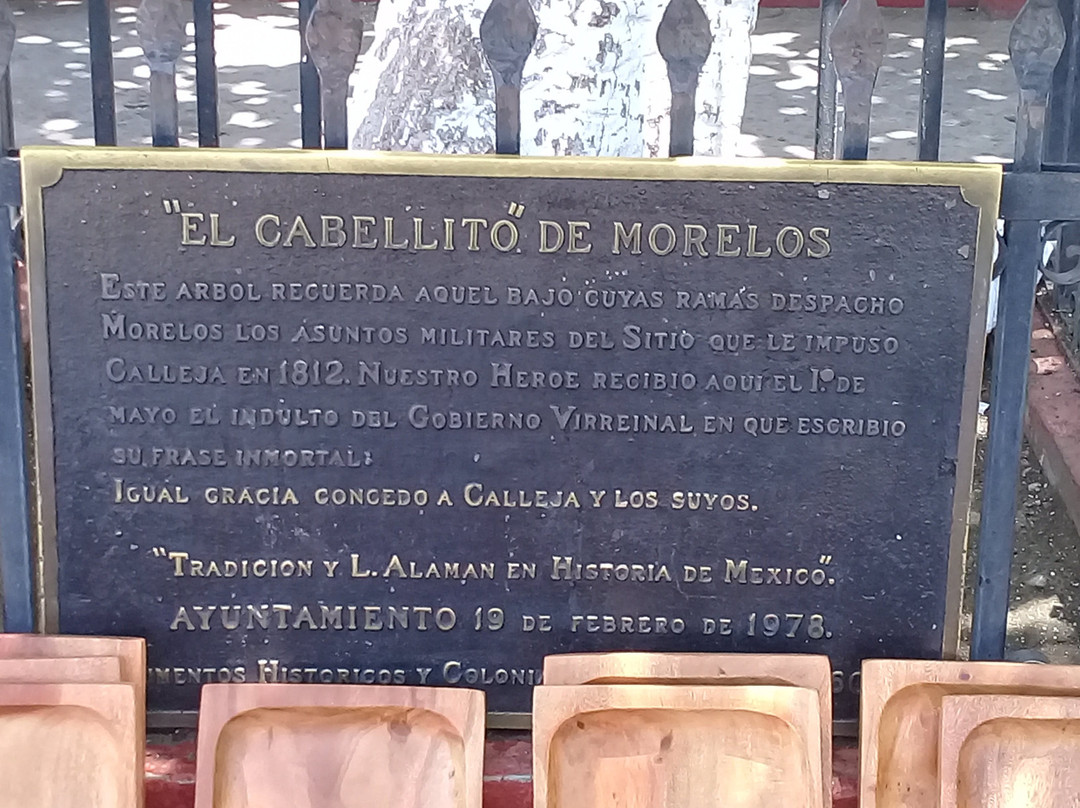 Parroquia Santiago Apostol景点图片