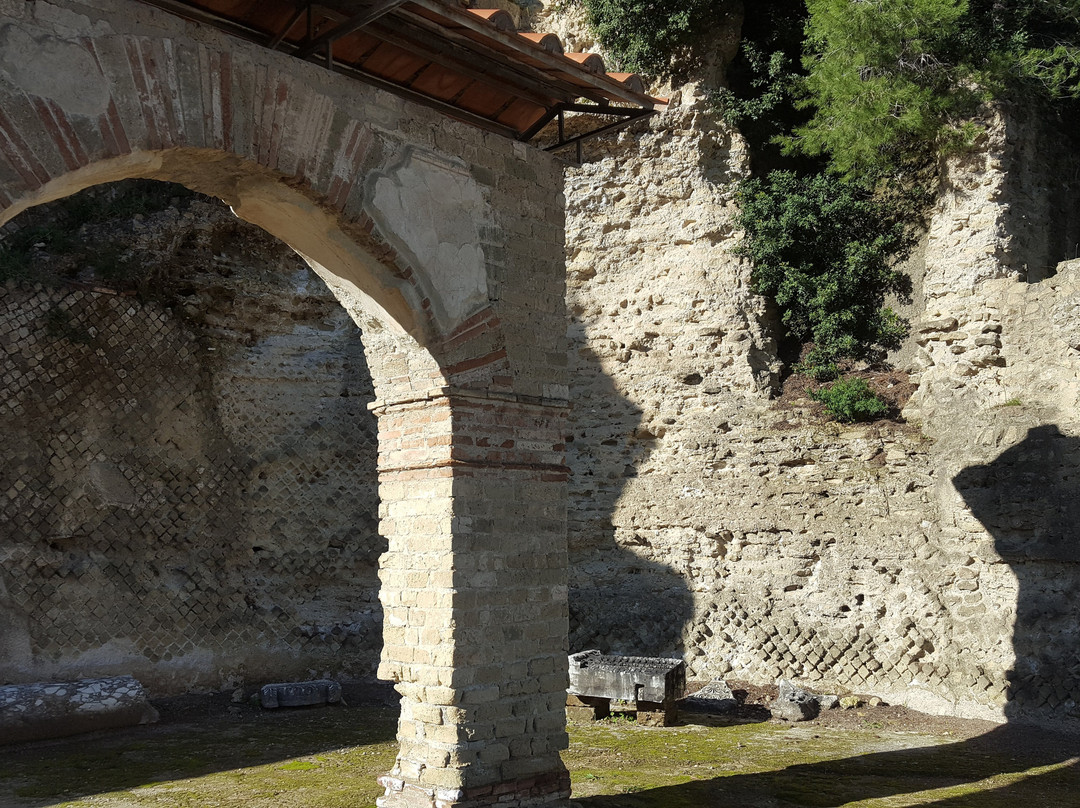 Parco Archeologico delle Terme di Baia景点图片