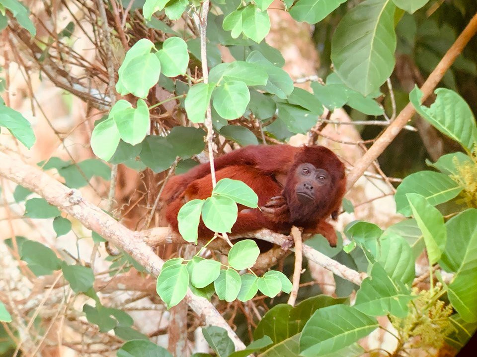 Parque Nacional Del Manu-玛努国家公园必去景点