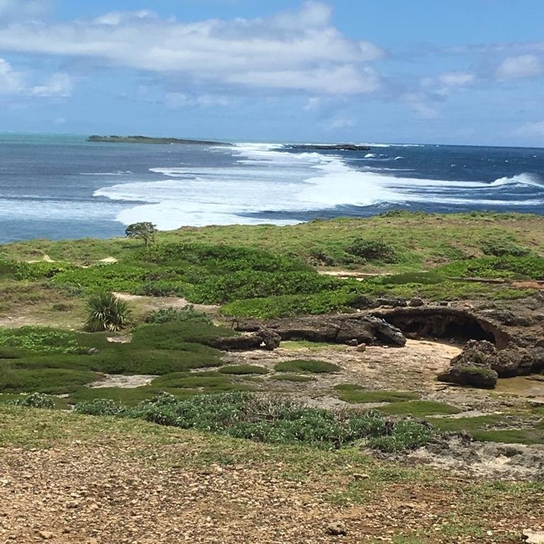 Ile Aux Cerfs Golf Club-卓得多斯必去景点