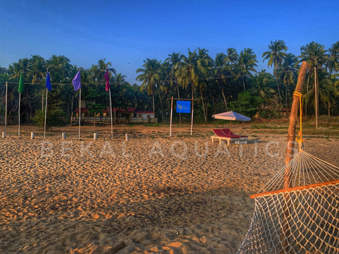 BEKAL AQUATICS-Bekal必去景点