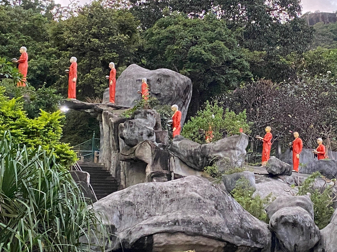 Sath Paththini Devalaya-丹布拉必去景点