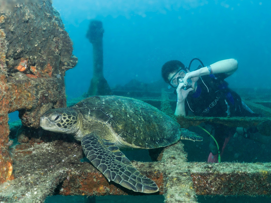 UP Dive-拉巴斯必去景点