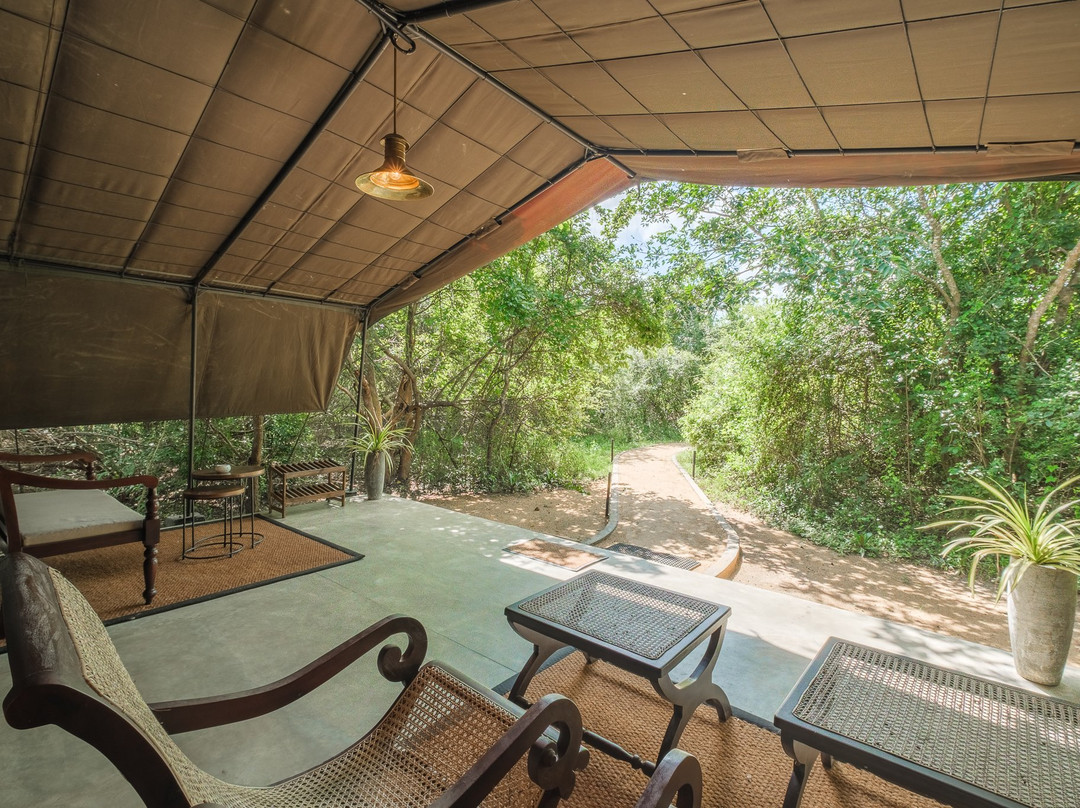 韦帕图花豹小径旅馆主图