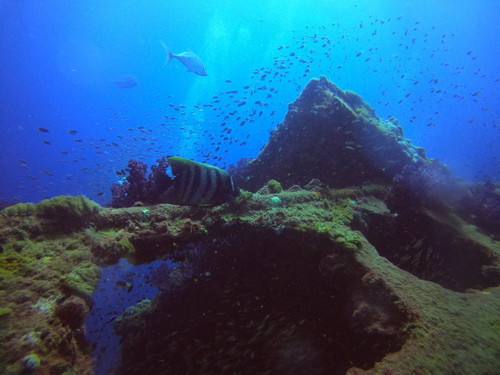 Yongala Dive-Ayr必去景点