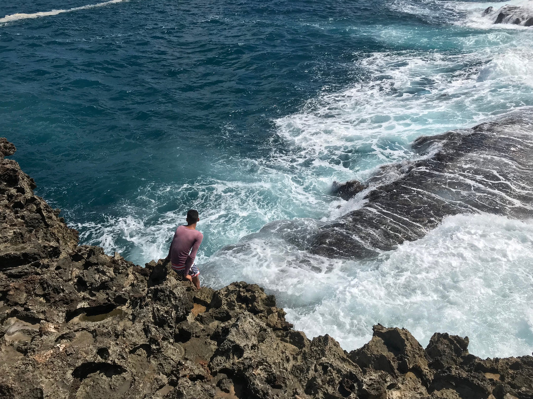 Hostal La Manzana主图