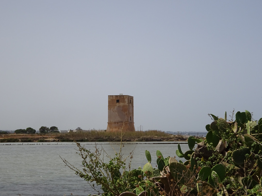 La Torre Saracena di Nubia景点图片