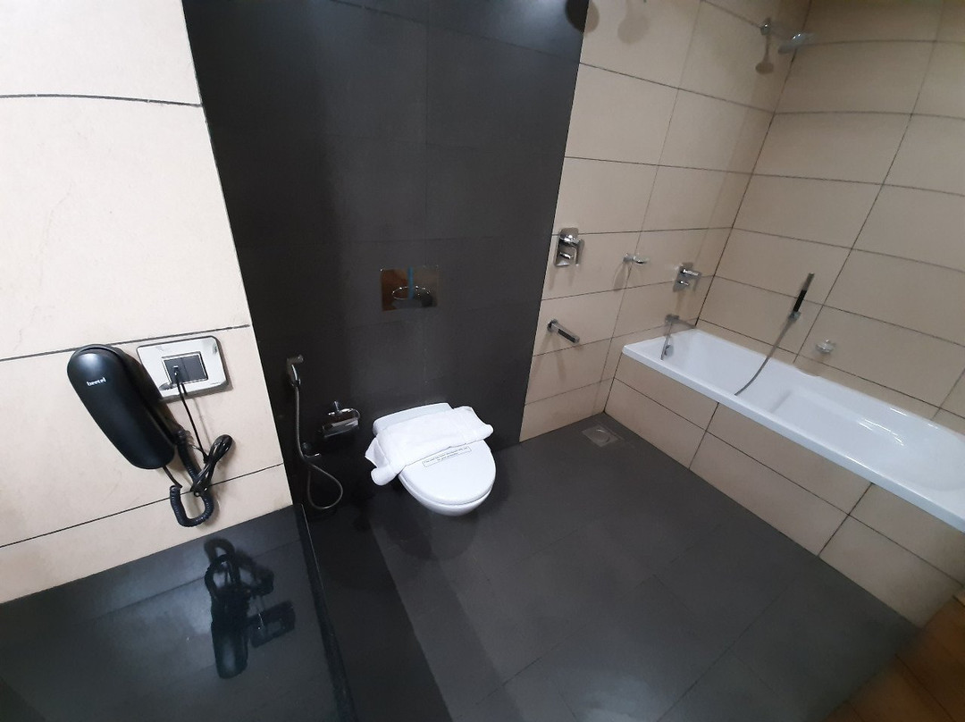 Rohini International Vithura主图