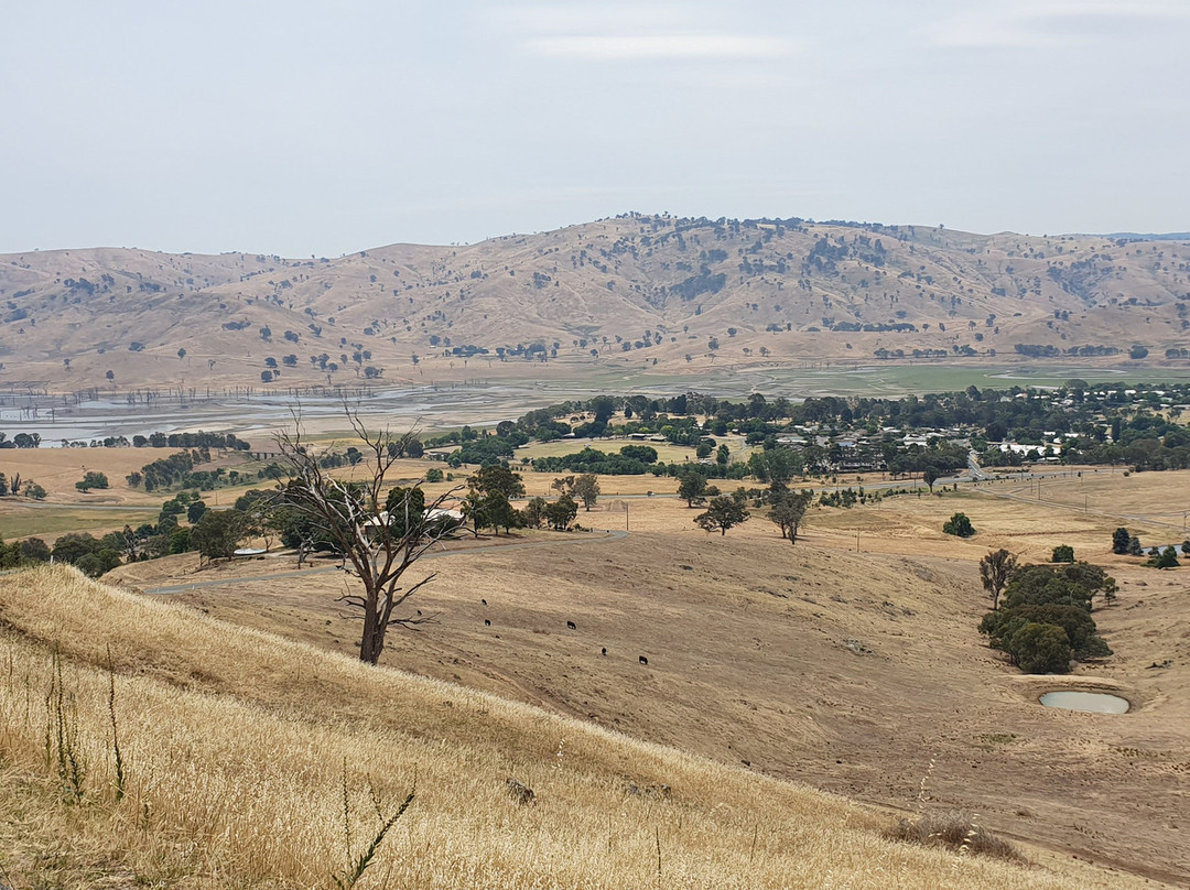 Tallangatta Lookout景点图片