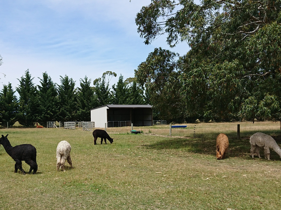 Farmers Coner-基督城必去景点