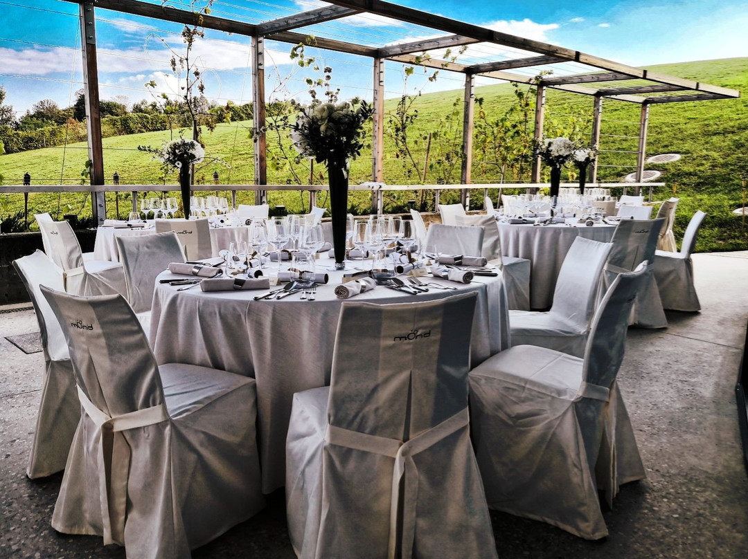 Mond, Resort & Entertainment主图