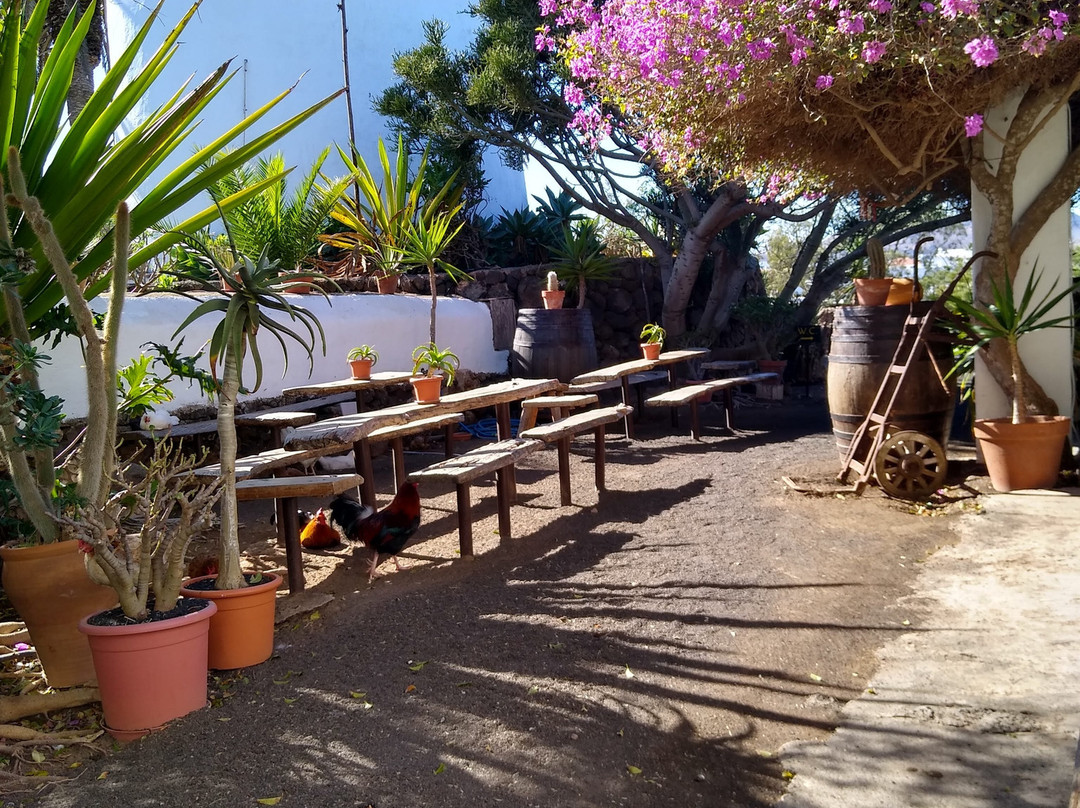 Museo Agricola el Patio-兰萨罗特必去景点