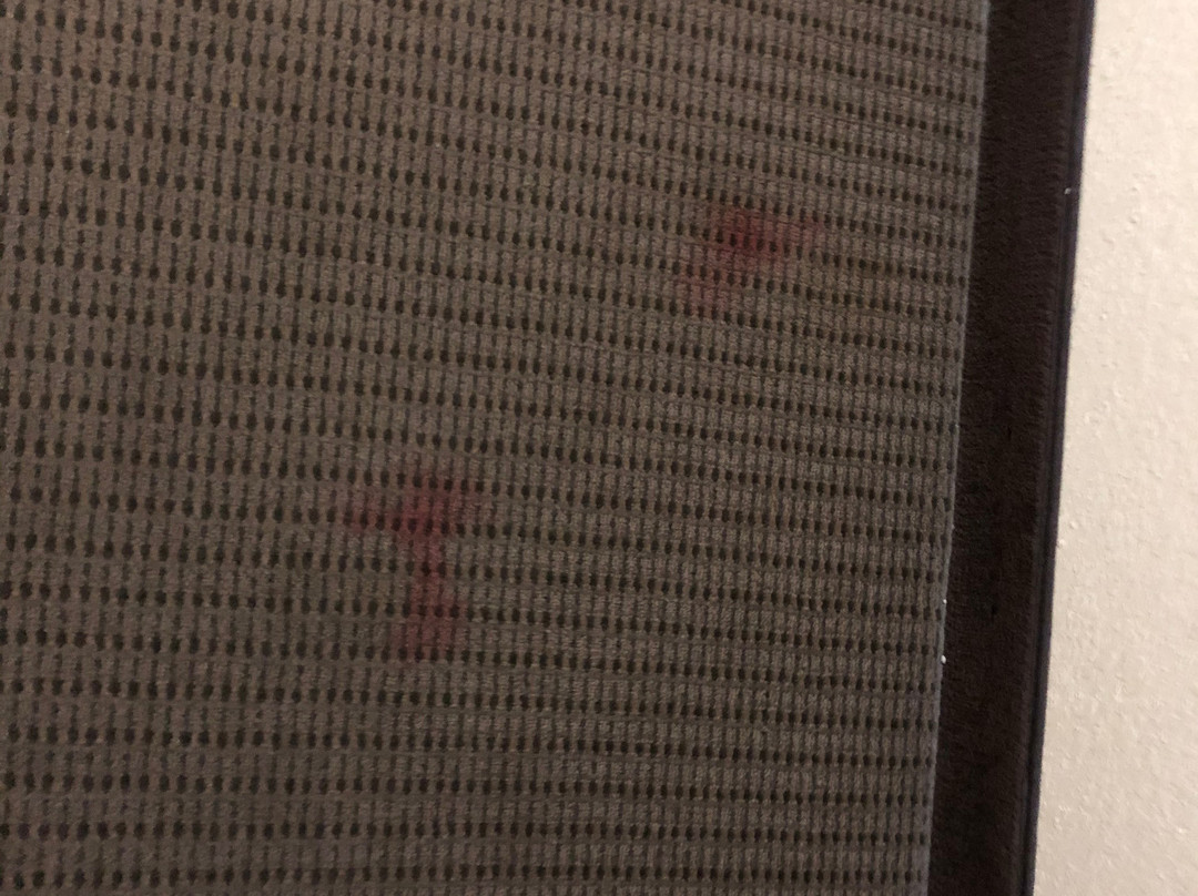 Sleep Inn & Suites University / Shands主图