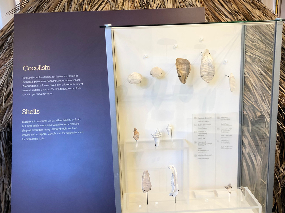 National Archaeological Museum Aruba景点图片