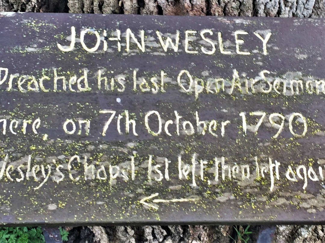 John Wesley's Last Open Air Sermon Tree景点图片