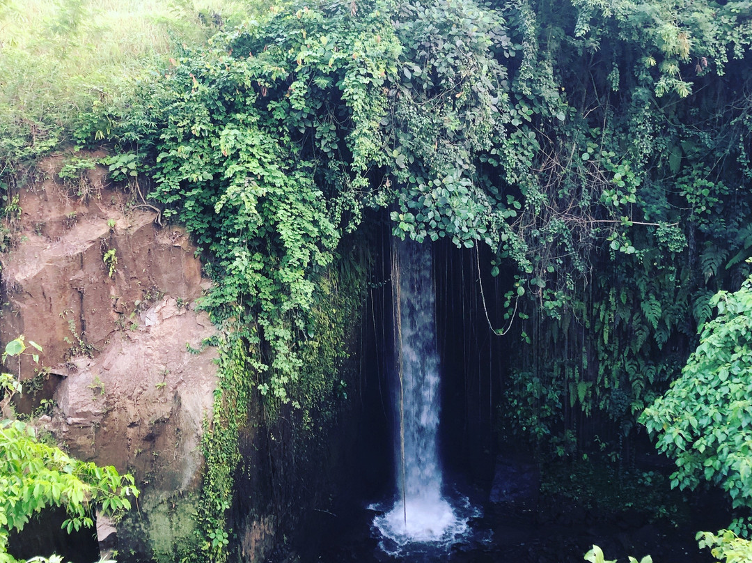 The Mudru Resort by GenuineHost主图