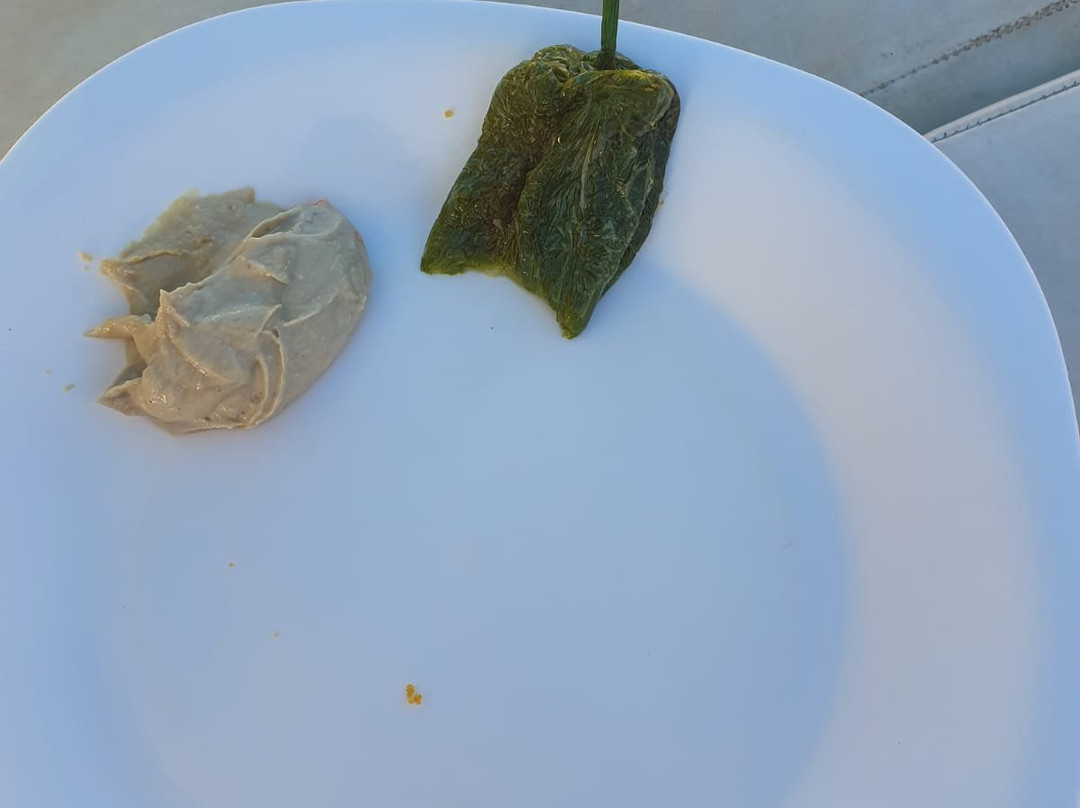 Dolphin House Aqua Center-赫尔格达必去景点