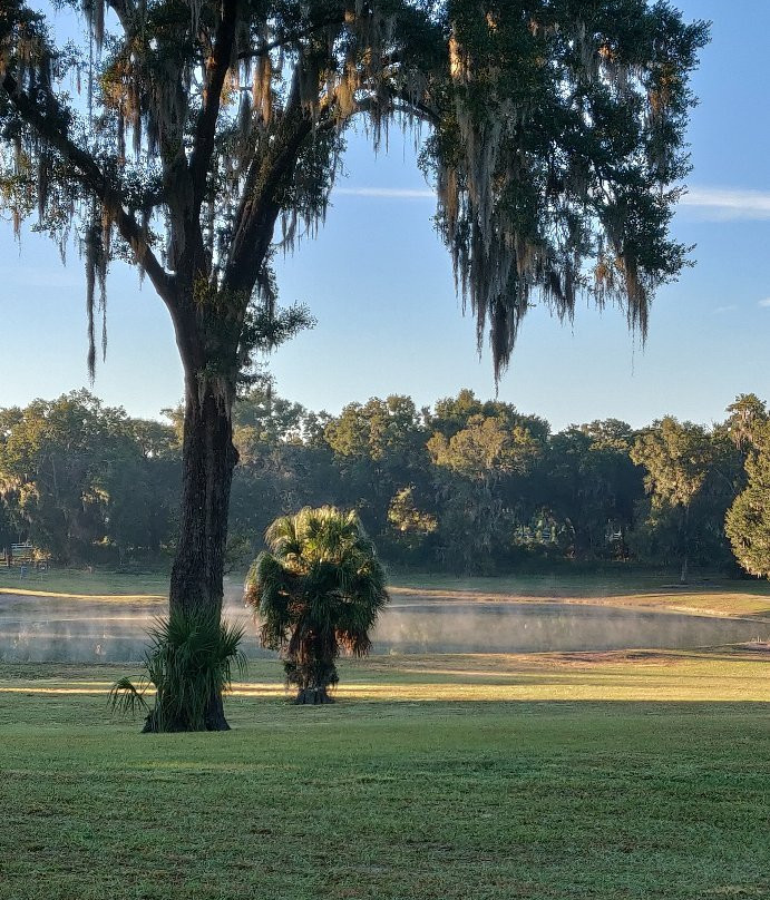 Barkley Square Dog Park-迪兰必去景点