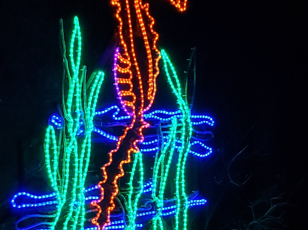 Albuquerque Biological Park-阿尔伯克基必去景点