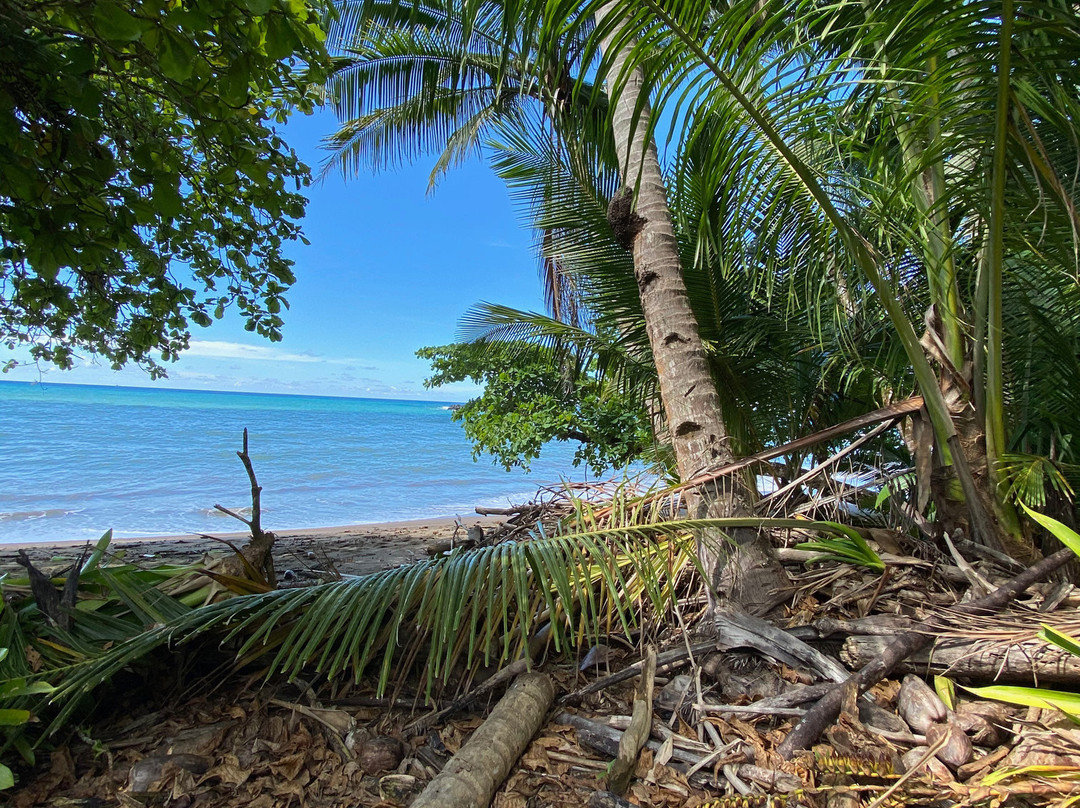 Drake Bay Wilderness Resort主图