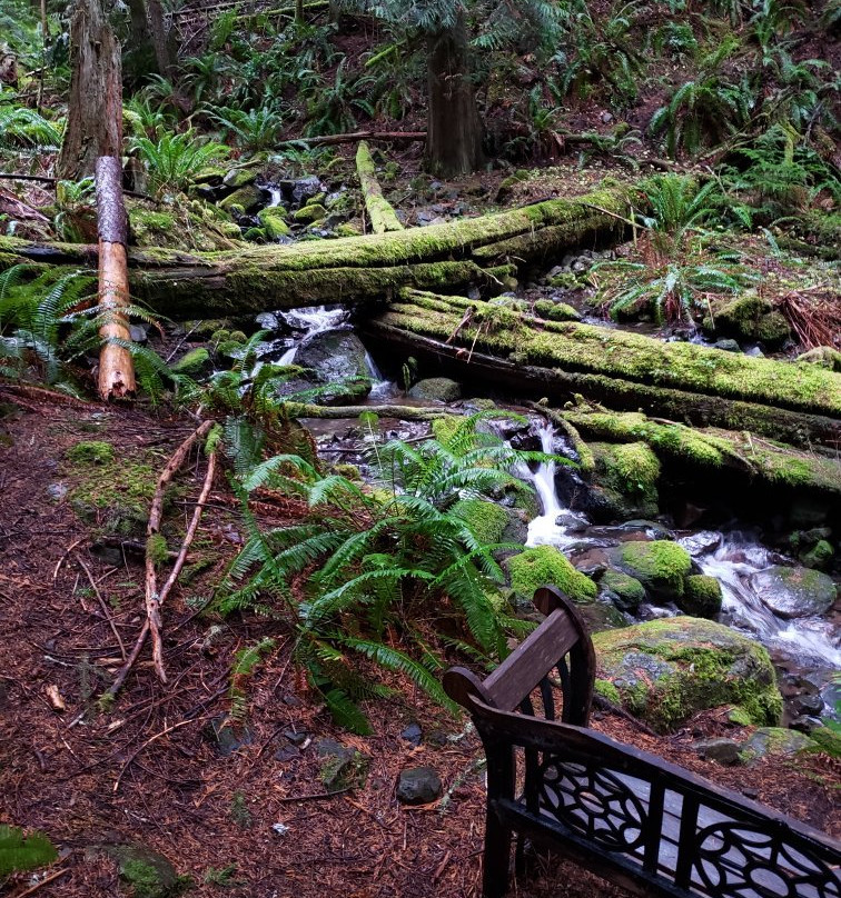 Wellspring Spa At Mt Rainier主图