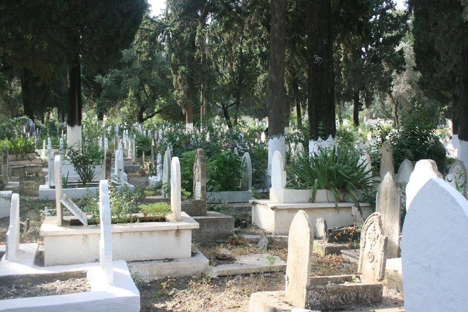 Sidi Halou Cemetery景点图片