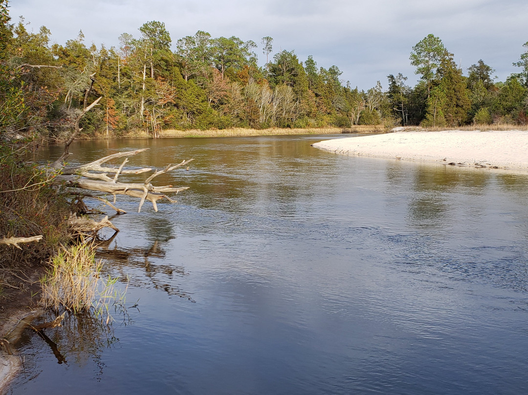 Blackwater River State Park景点图片