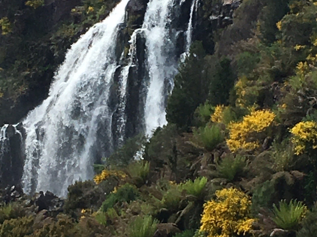 Waratah Falls-Waratah必去景点