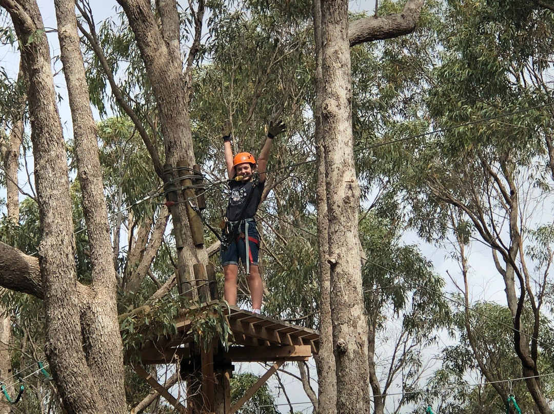 Treetops Adventure Yanchep景点图片