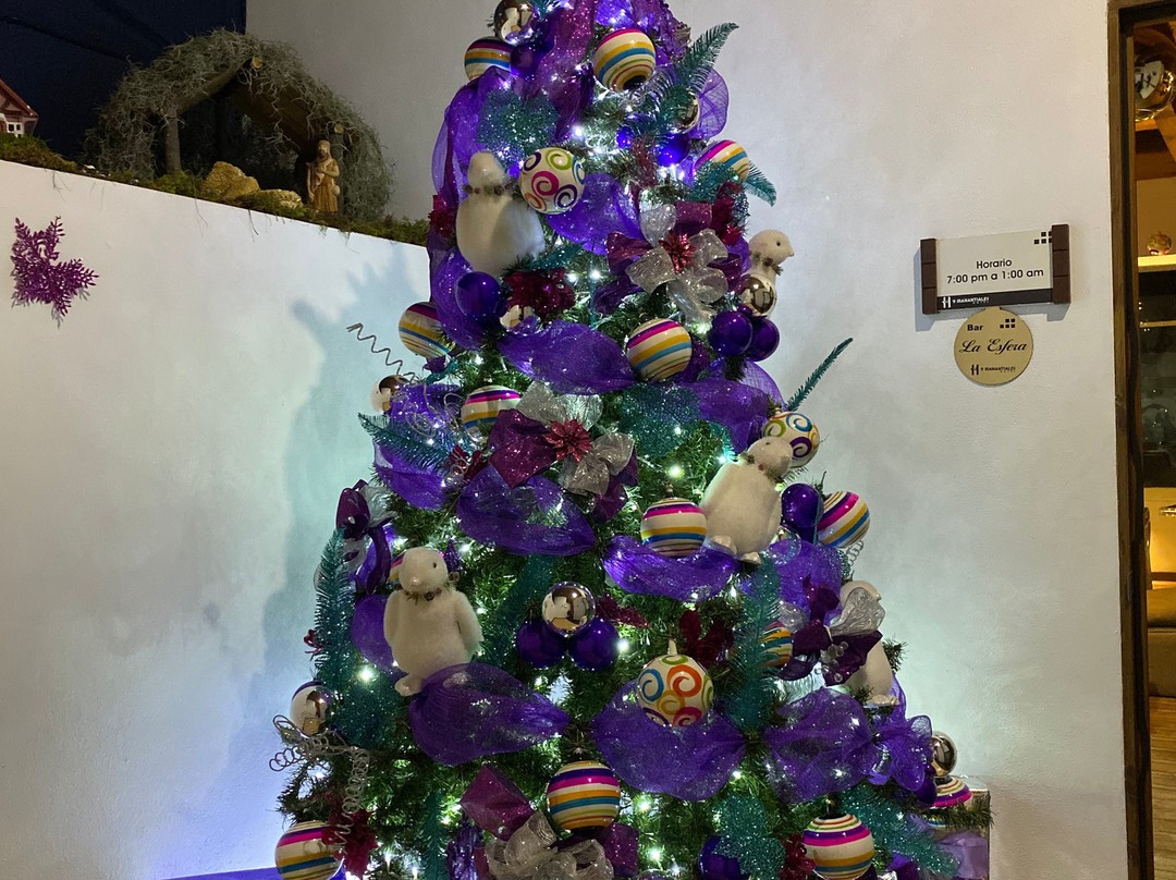 Hotel 9 Manantiales主图