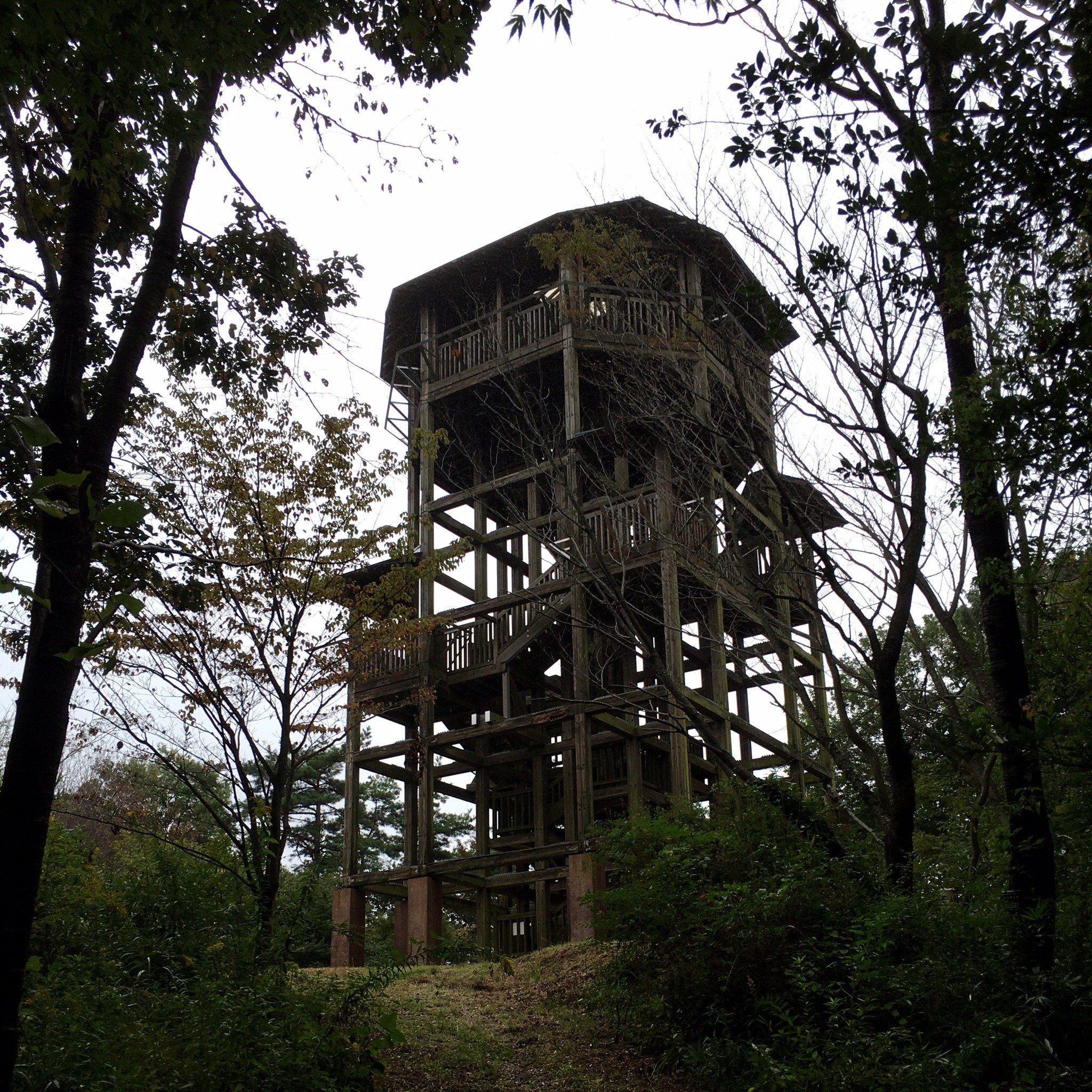 Forrest Inn Mashiko-官方