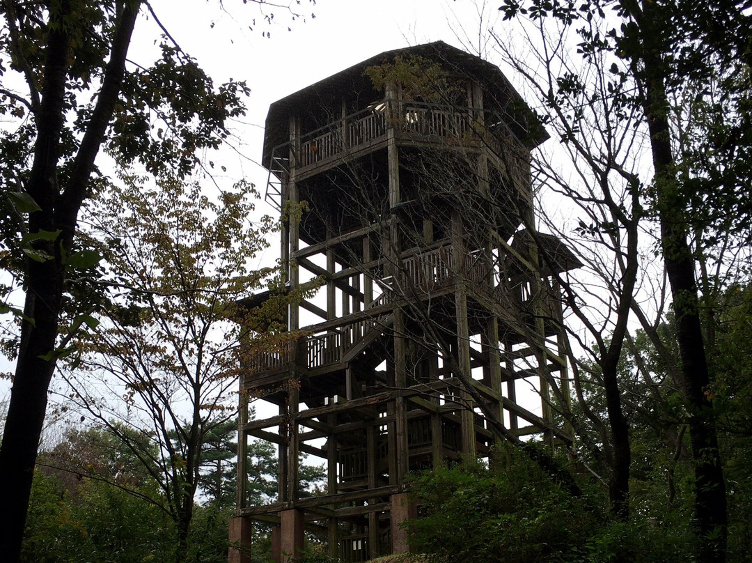 Forrest Inn Mashiko主图