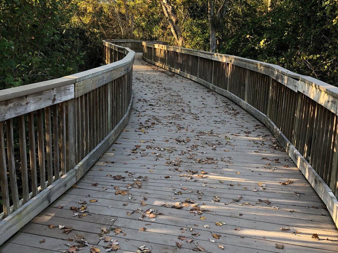Residence Inn by Marriott Amelia Island主图