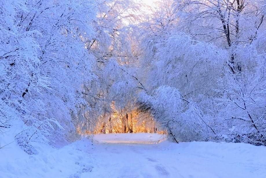 Tianetskiy Wildlife Sanctuary Sabaduri景点图片