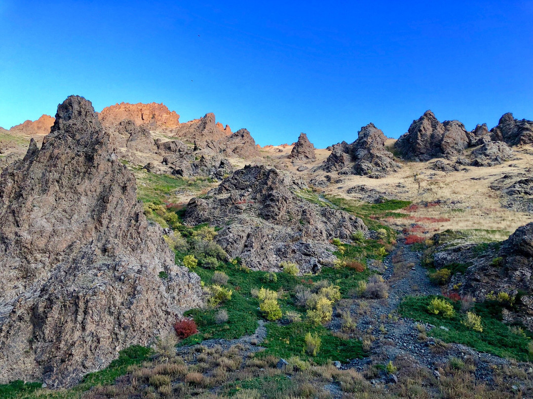 Gobi Gurvansaikhan National Park景点图片