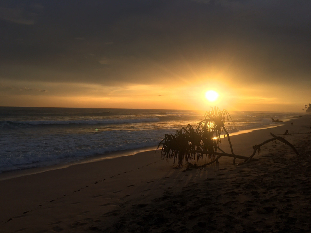 Beach House Habaraduwa主图