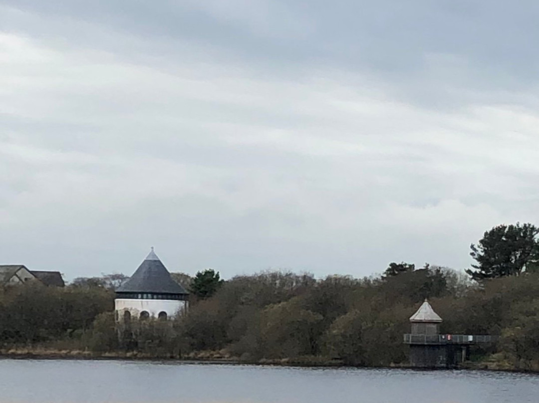 Llyn Llech Owain Country Park-Gorslas必去景点