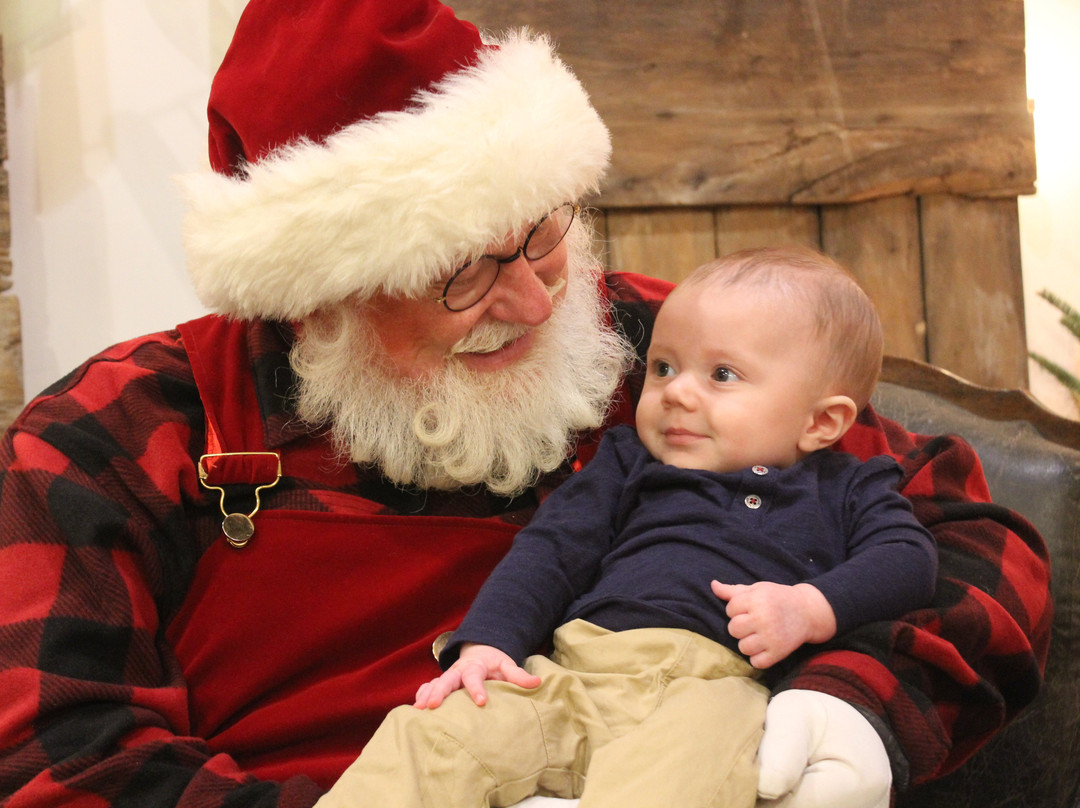 Williams Tree Farm-Rockton必去景点