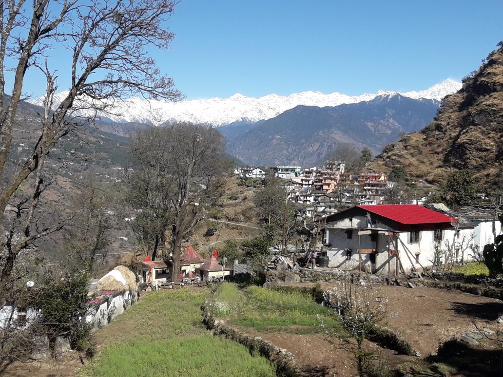 Himalayan Mountain Home Stay-官方