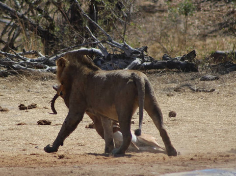 Muzi Safari Tours-雾观必去景点
