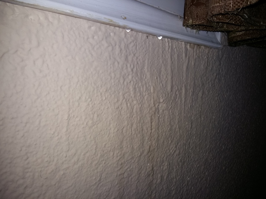 Aristoteles Beach Hotel主图