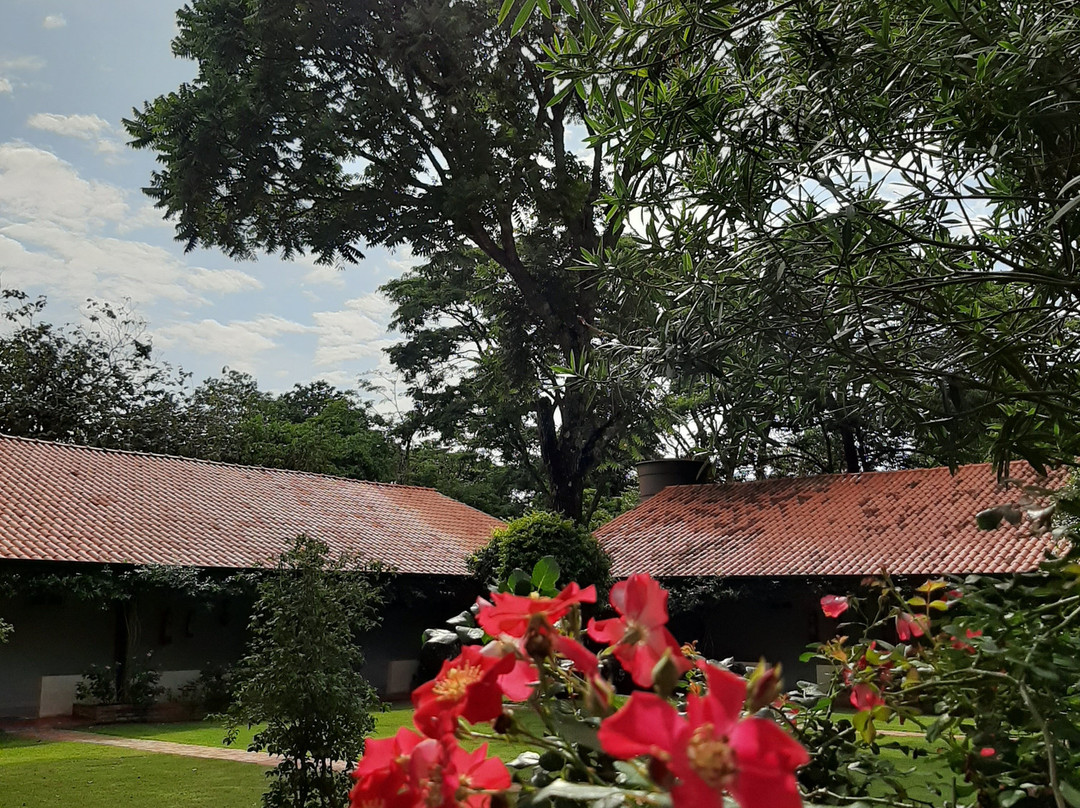 Bosque da Neblina主图