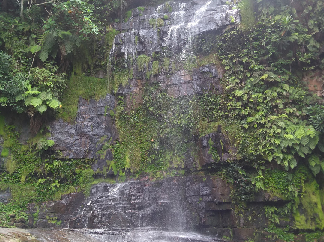 Cachoeira Pé da Serra景点图片