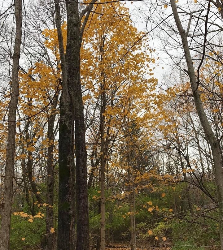 Paint Creek Trail-罗切斯特必去景点