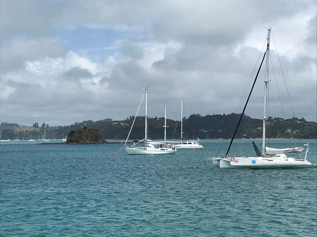 Bay Of Islands Cruise & Kayak景点图片