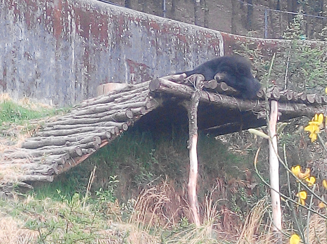 Nainital Zoo景点图片