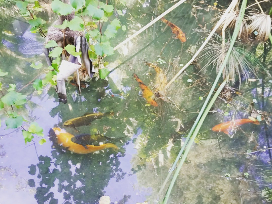 Jardin de los Sentidos主图