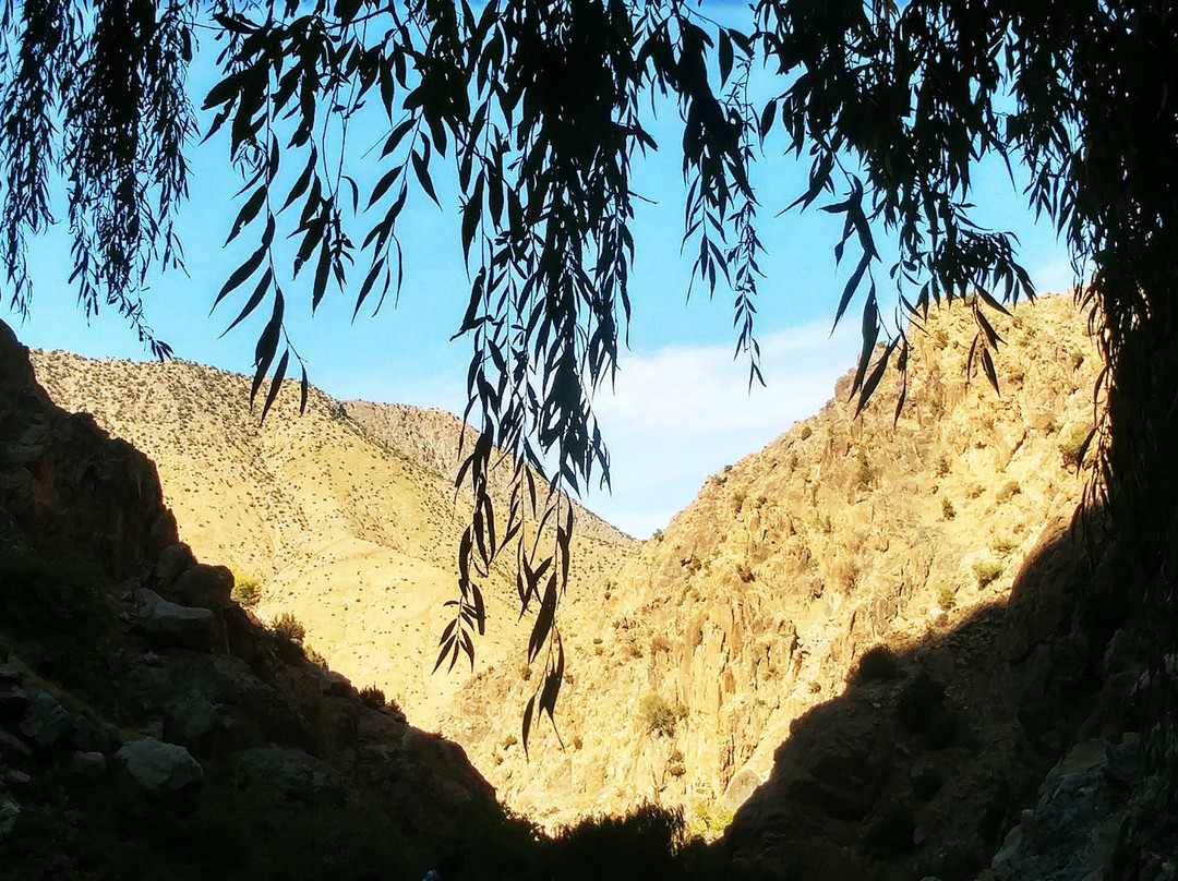 Ourikabyfeet Travels-Ourika必去景点