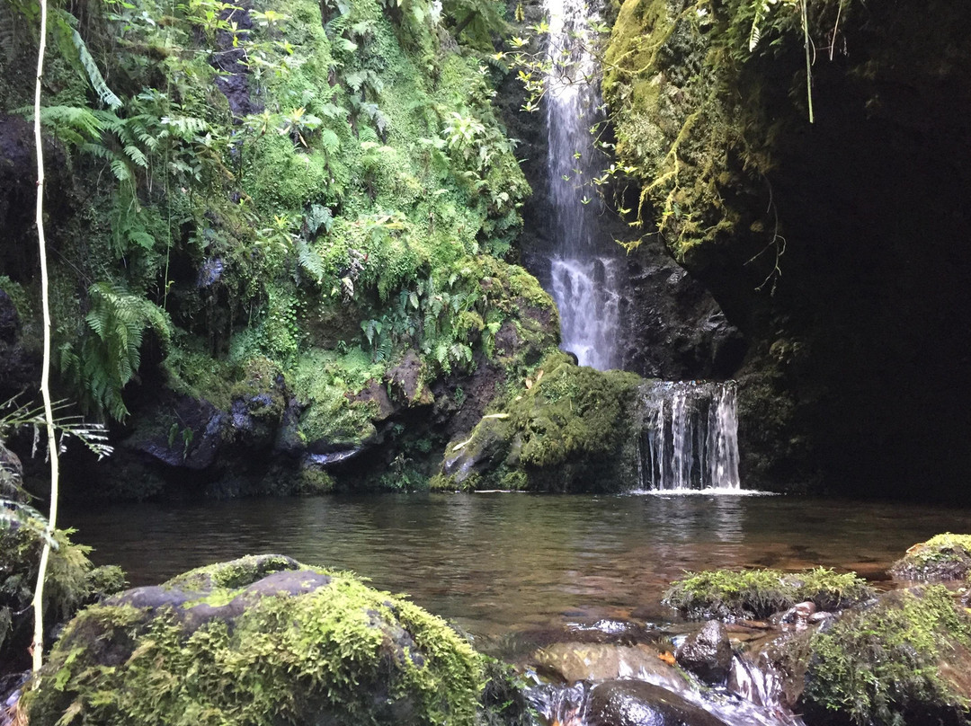 Madeira Wonder Hikes-沙尔必去景点