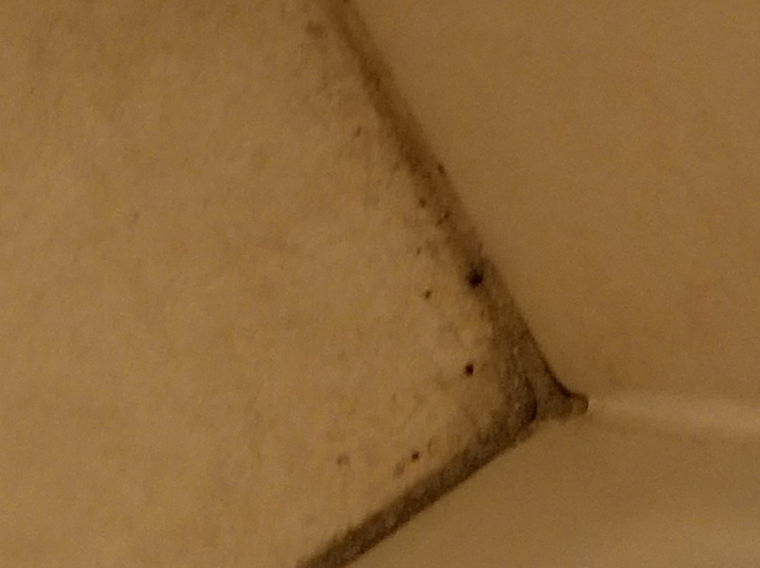 Old Wooden Bridge Marina主图